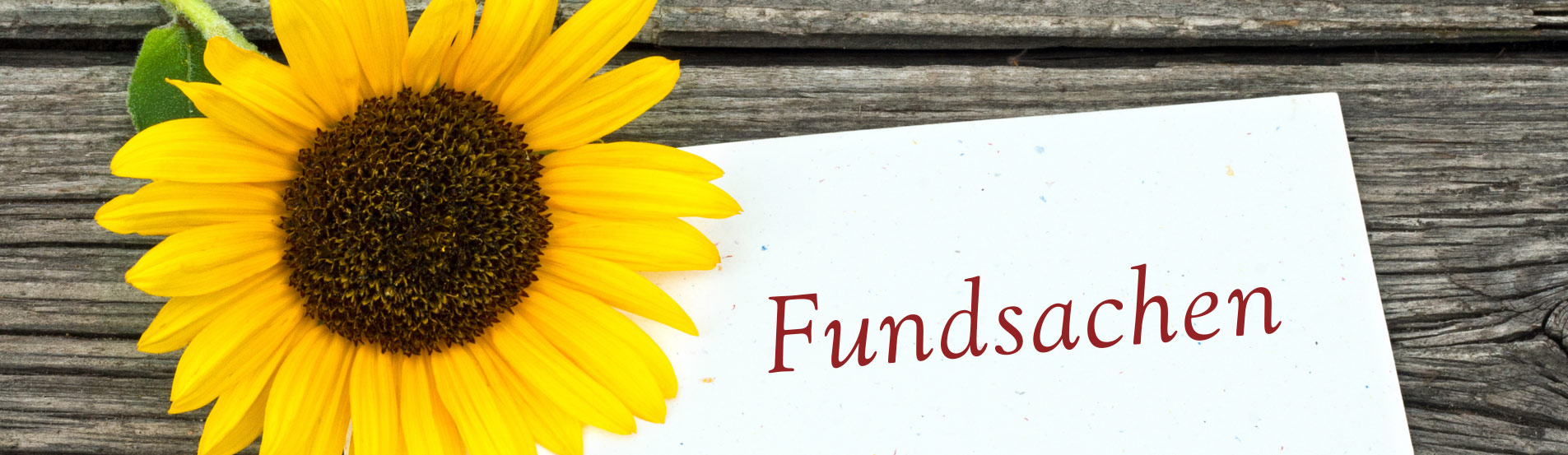 Fundsachen