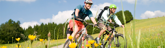 Saurüssel Radweg an Rott und Inn